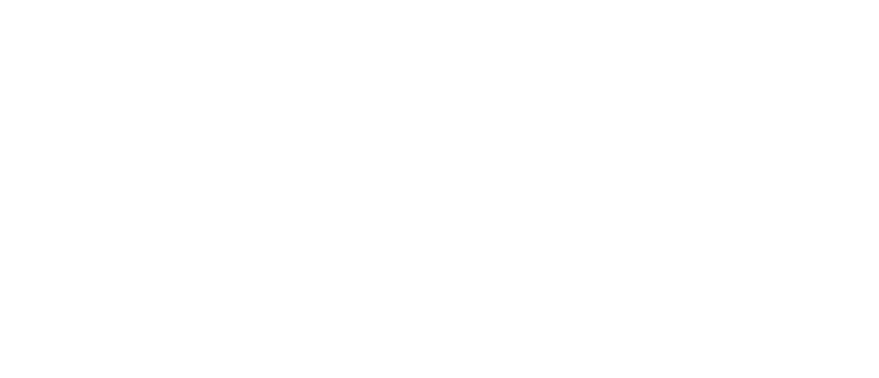 Arts and Culture Alliance logo